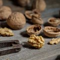 Why are walnuts nuts so expensive?
